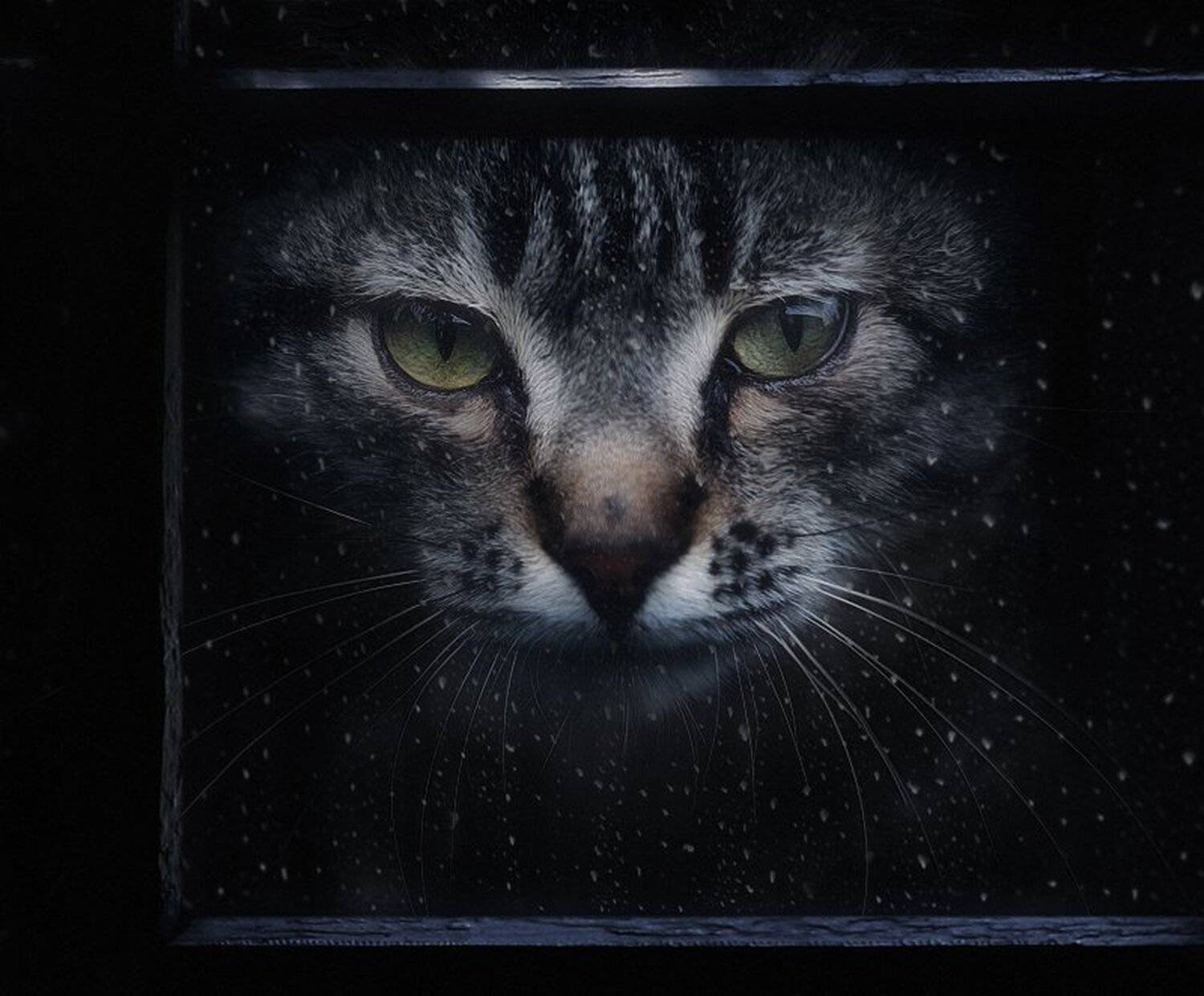 , Наборщиков Иван