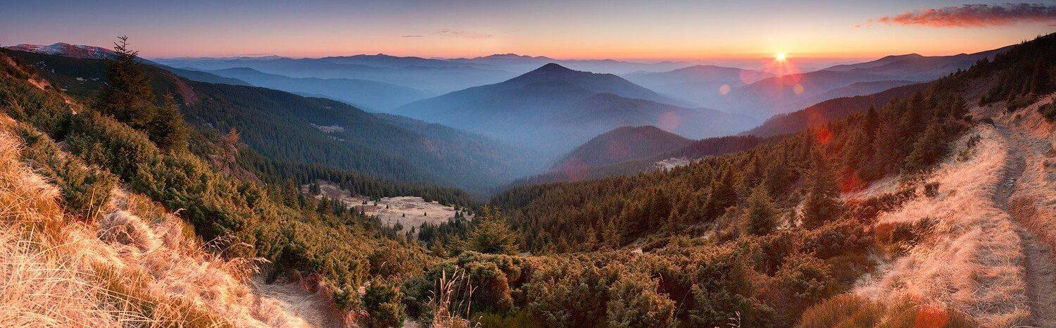 , Андрій Плясун