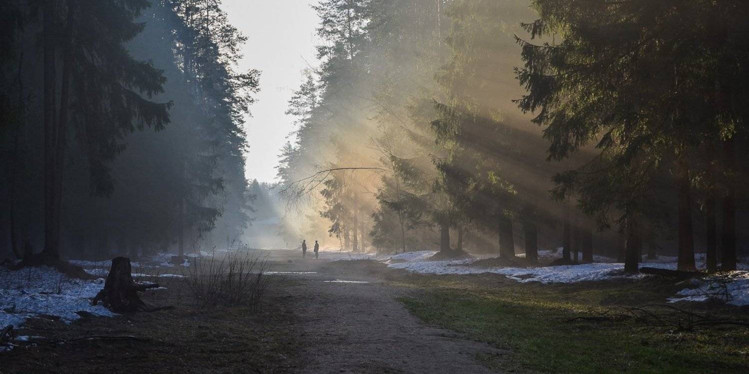 , Света и Вася