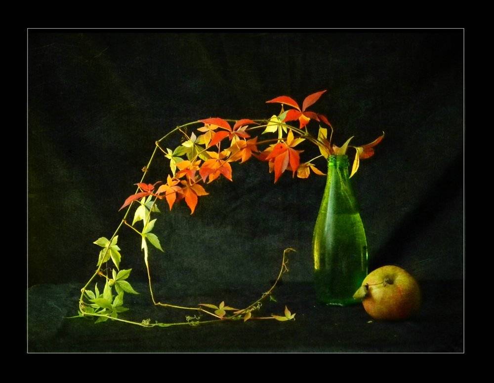 , Юлия Володина