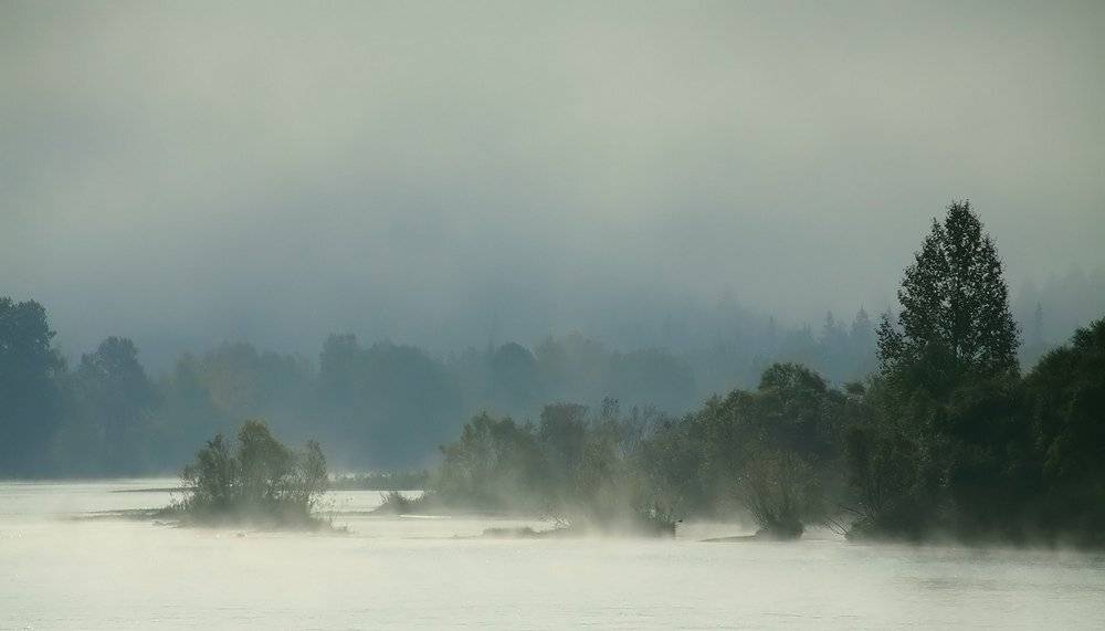 , Николай Морский