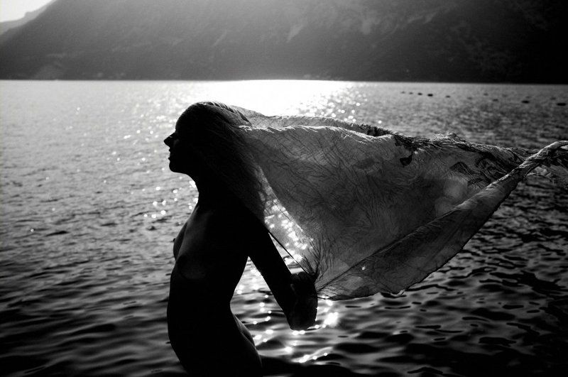 Тени и силуэты №2 фото превью