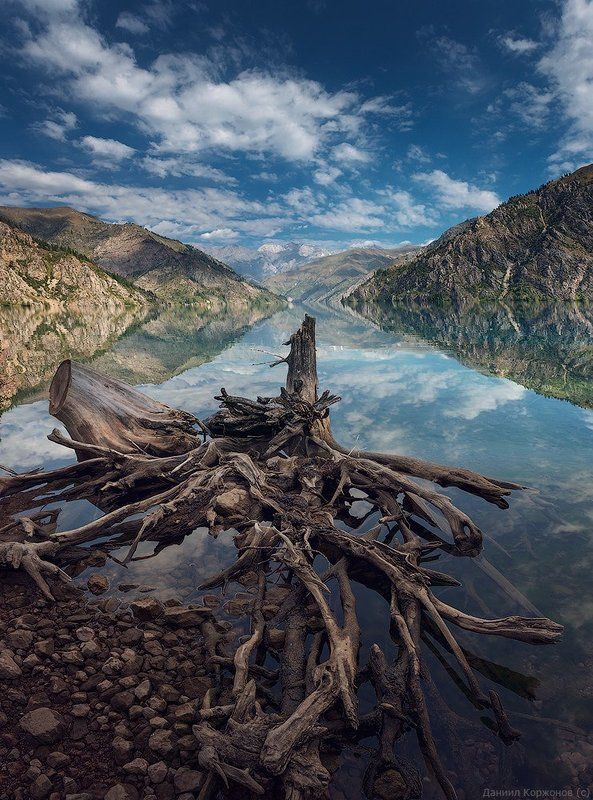 Сары-Челес