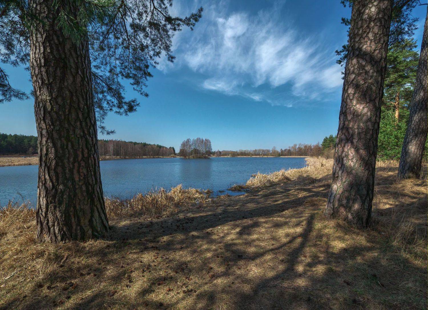 , Сергей Харитон