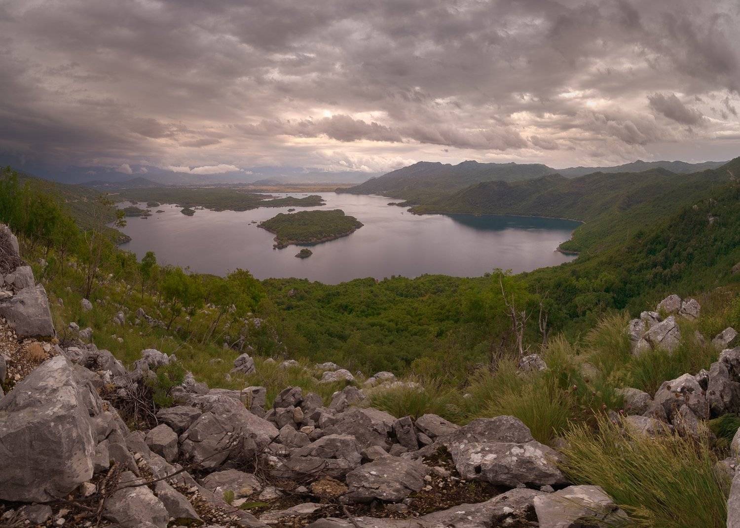 , Андрей Кучеров