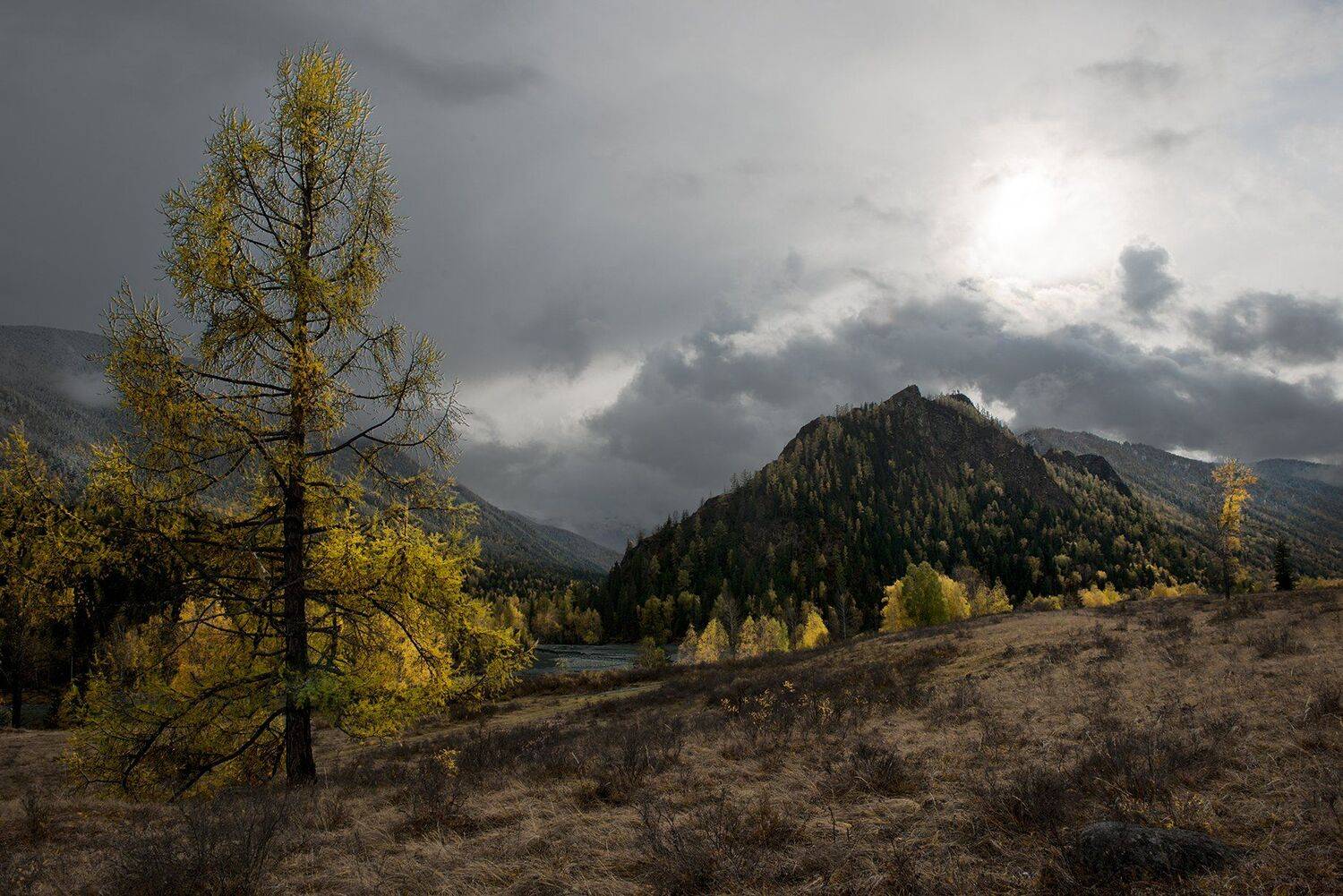 , Борис Леваков