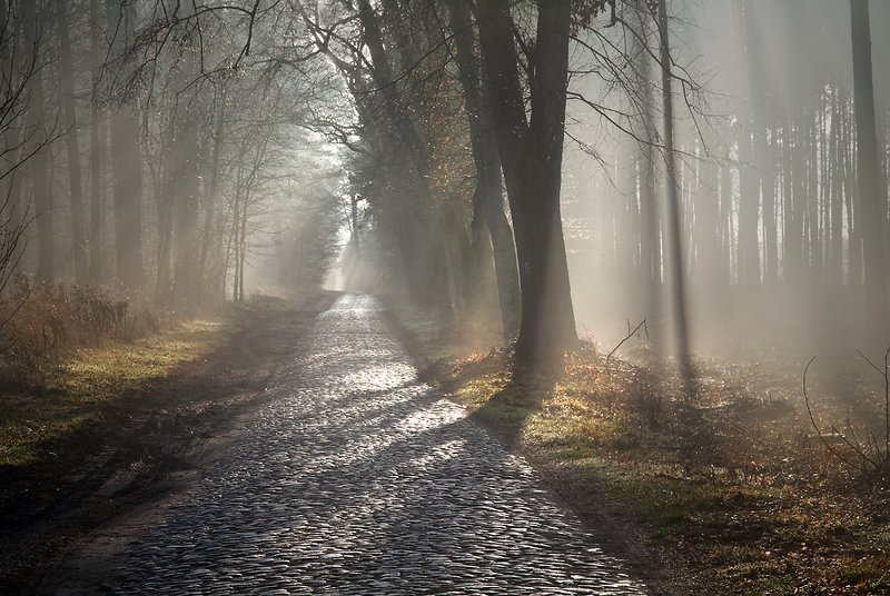 ... фото превью