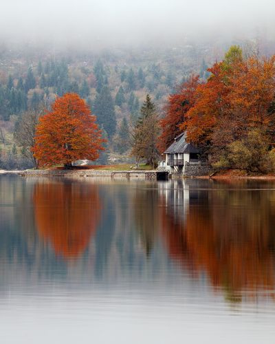 Foggy Morning by the Lake