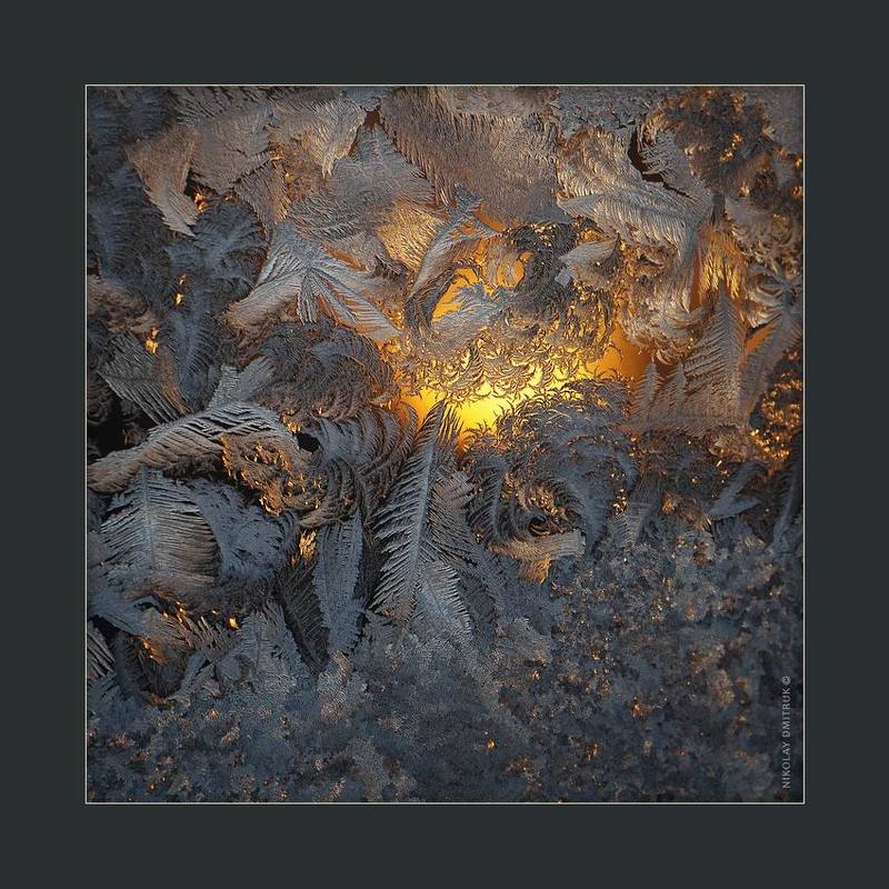 макро закат мороза. 16.20 фото превью