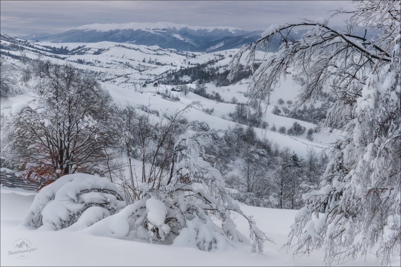 карпаты, зима. Когда-то была зима .... фото превью
