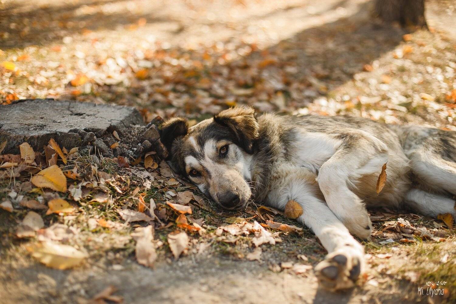 , Ульяна Буканова (Мизинова)