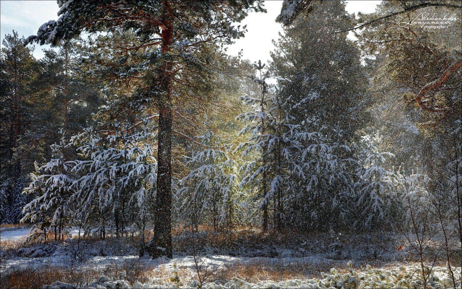 забайкальский край, Александр Леснянский