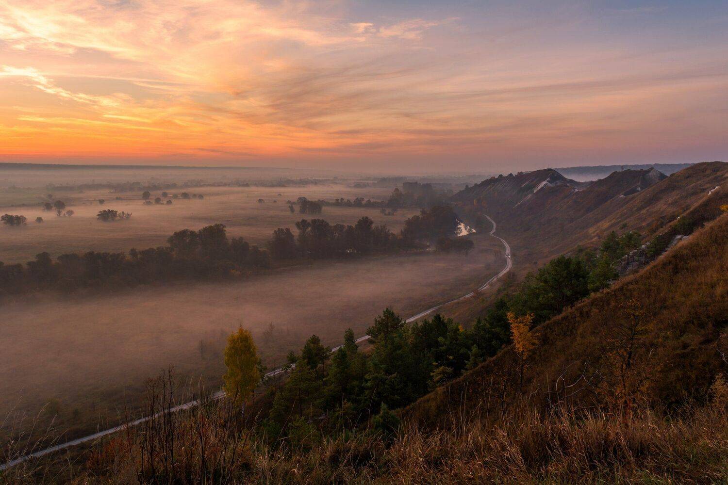 , Александр Литвишко