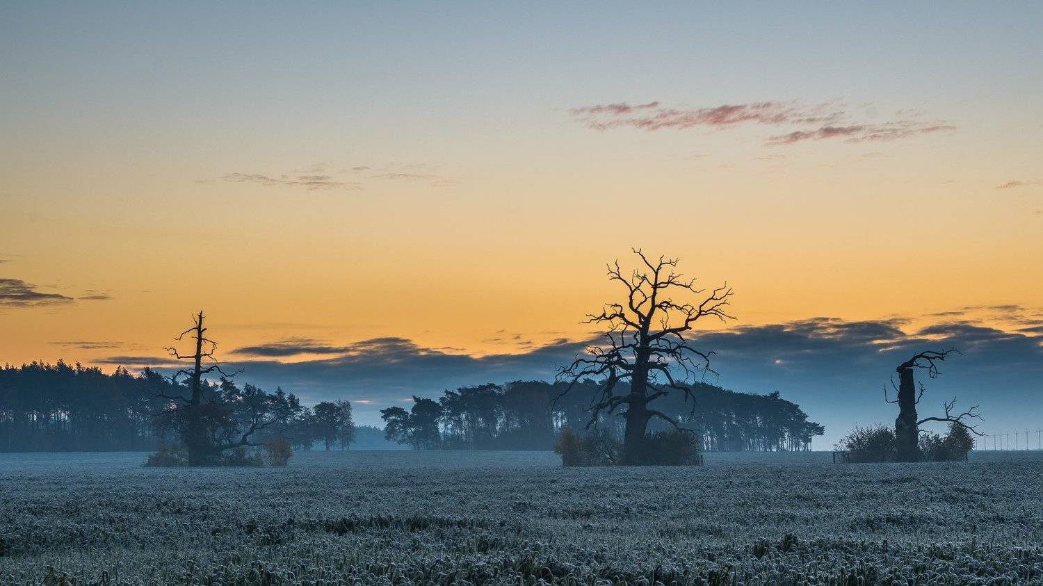 , Maciej Werbliński