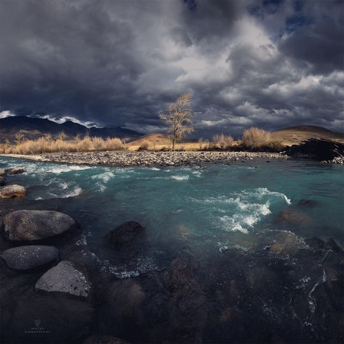 Перед бурей