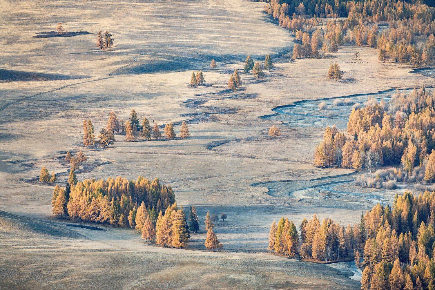 алтай, россия, курай, горы, осень, пейзаж, природа, степь, Дмитрий Купрацевич