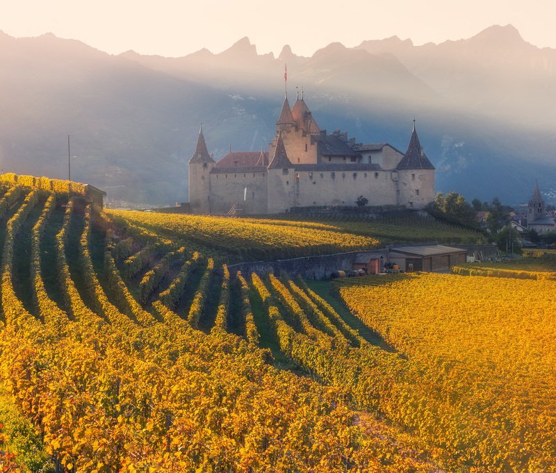 château d’aigle, switzerland, sv-phototravel.com Château d’Aigle фото превью