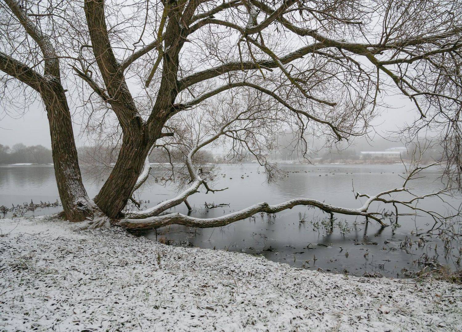 , Сергей Харитон