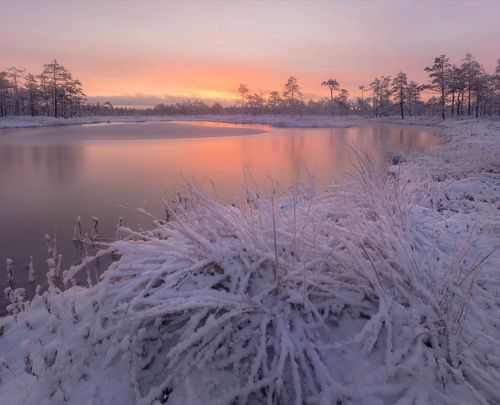 Морозным утром