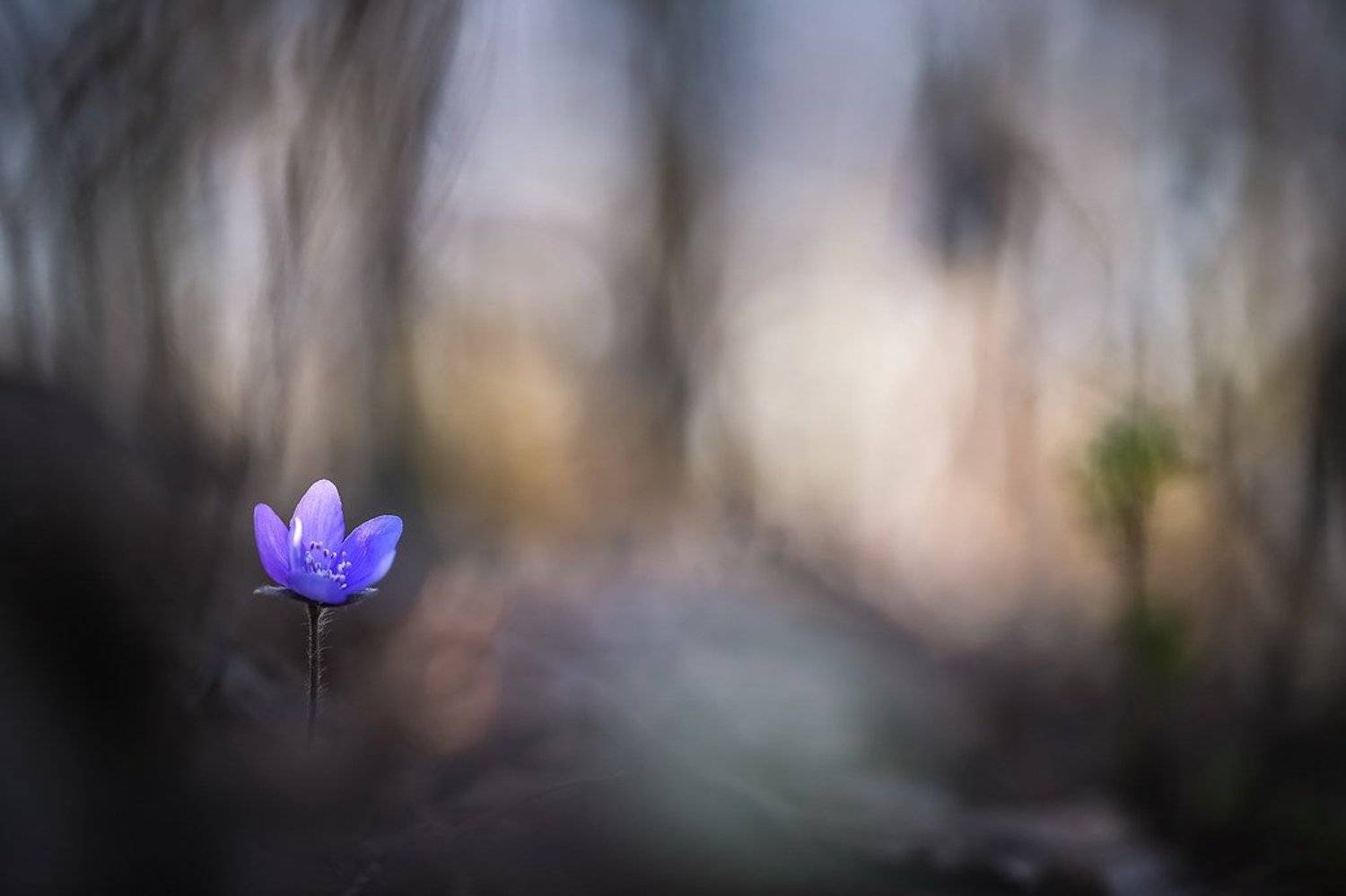 , Вячеслав Мищенко