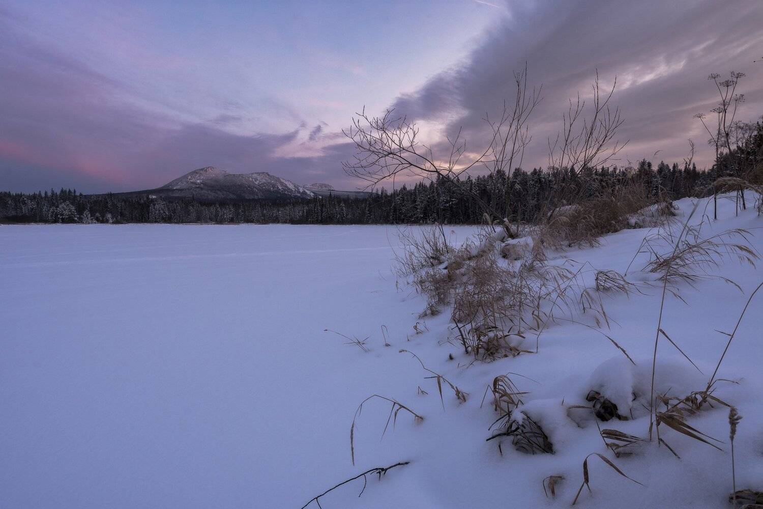 , Андрей Шарапов