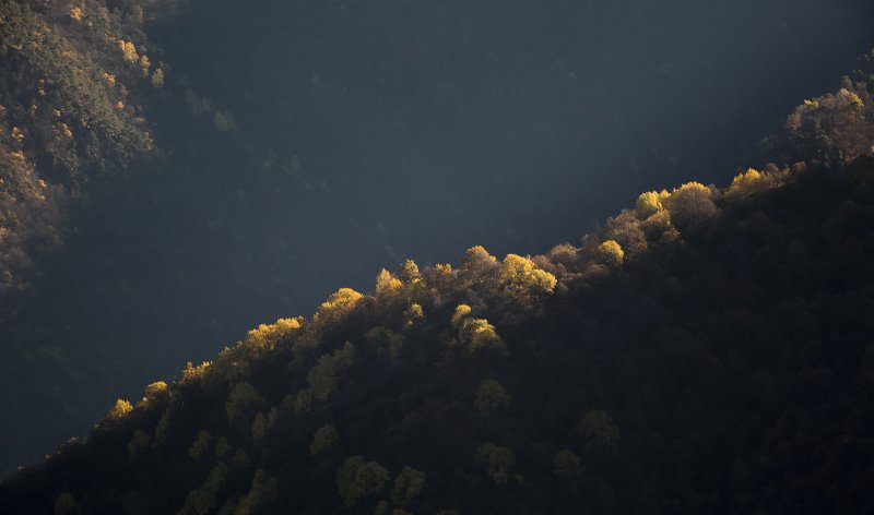 Игра света фото превью