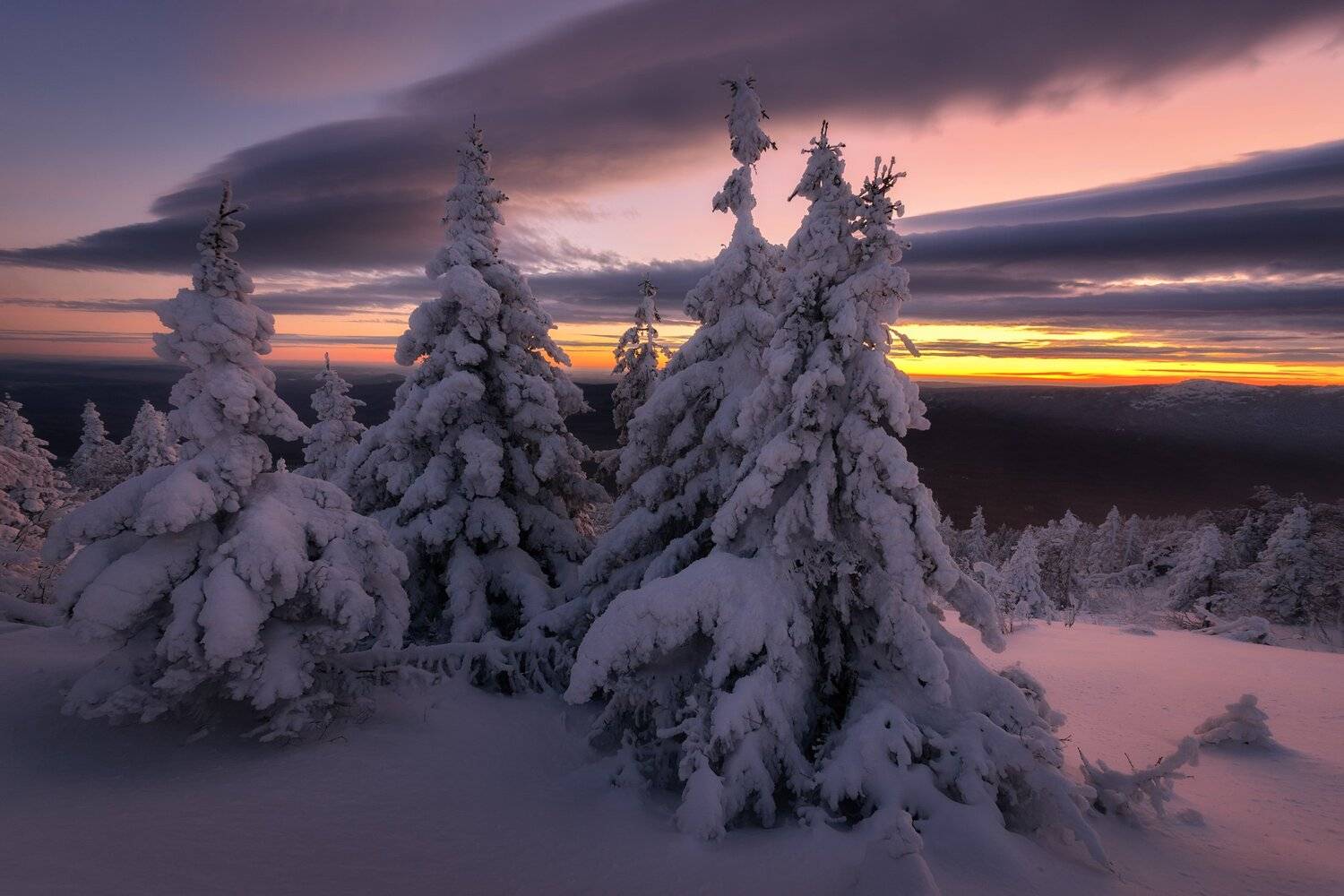 , Михаил Туркеев