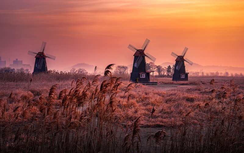 Morning of home town фото превью