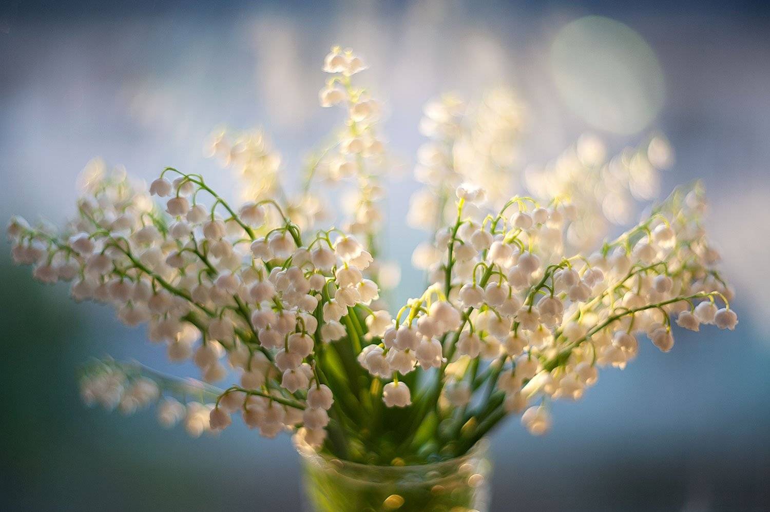 , Дарья Васильева