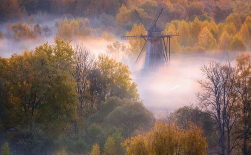 Осенние мотивы