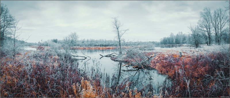 Бобровая столовая фото превью