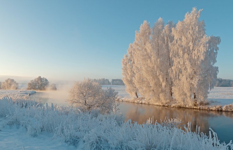утро, свислочь, туман, иней, мороз Зима фото превью