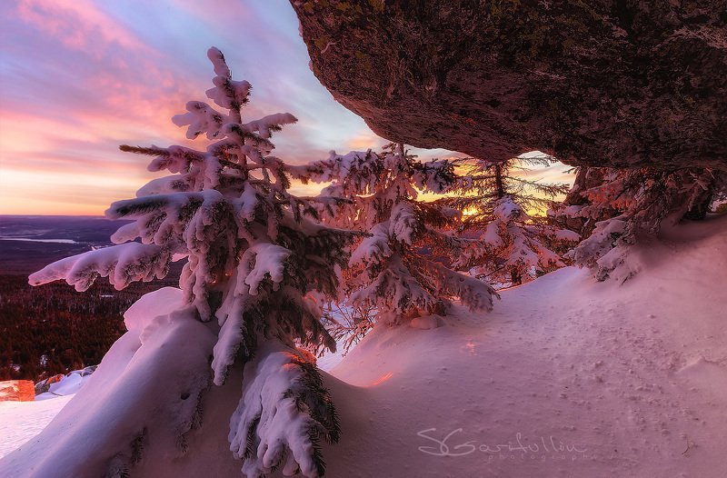 Урал, Южный Урал, Уреньга, зима, зимний пейзаж, елка, ёлка, закат, восход Укромное место фото превью
