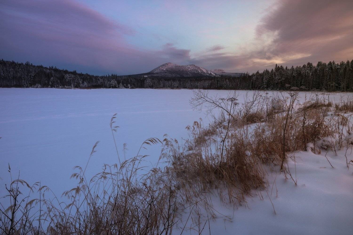 , Андрей Шарапов