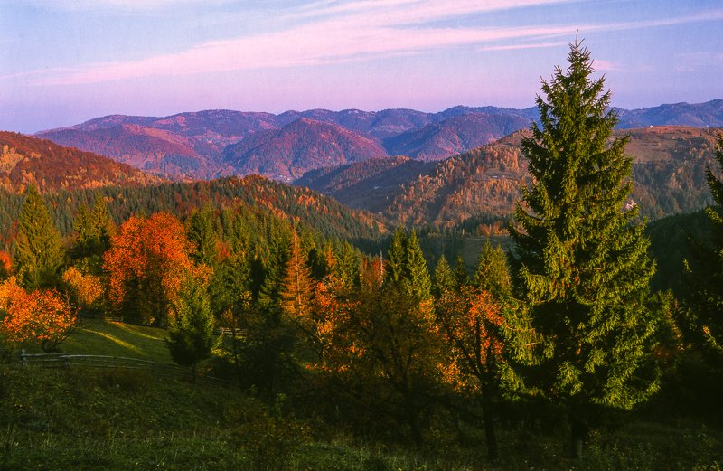Autumn in the Carpathian mountains Fuji Velvia film фото превью