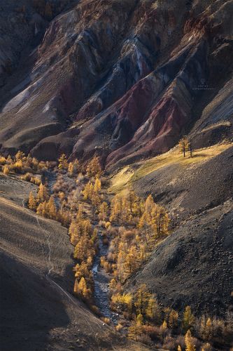 Где-то на Марсе