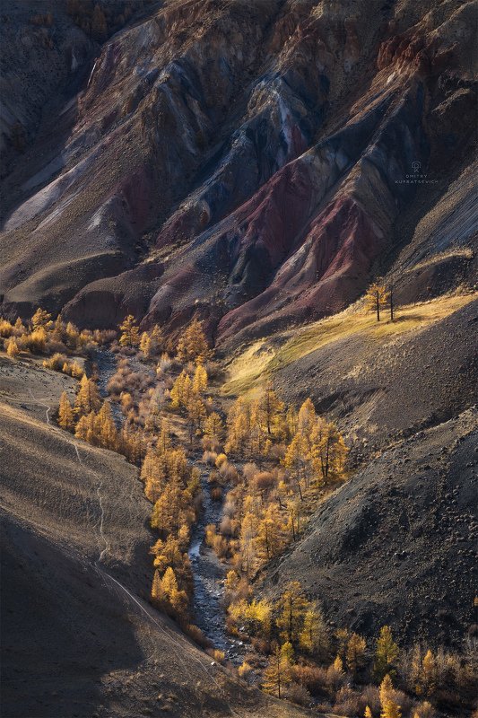 алтай, россия, кызыл-чин, горы, осень, пейзаж, природа, степь Где-то на Марсе фото превью