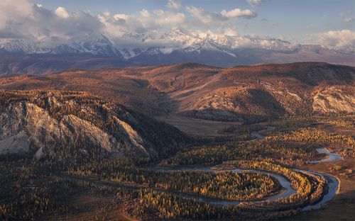 Изгибы осени