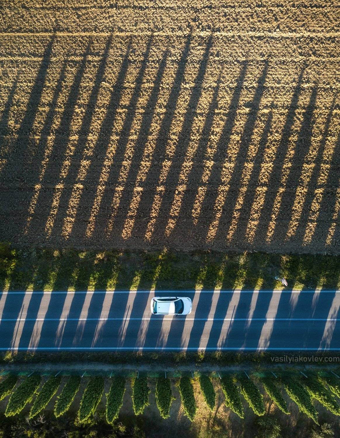 италия, Василий Яковлев