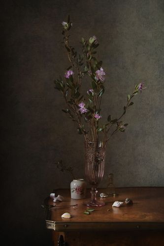 Цветущие веточки багульника