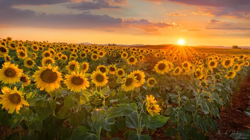 прованс, франция Путешествие в Прованс фото превью