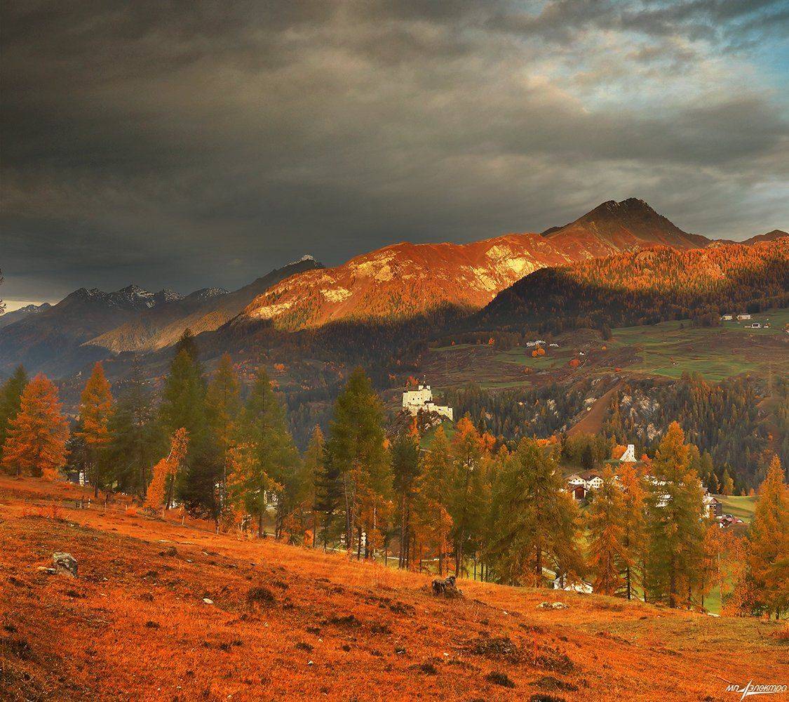 swiss, Матвеев Николай