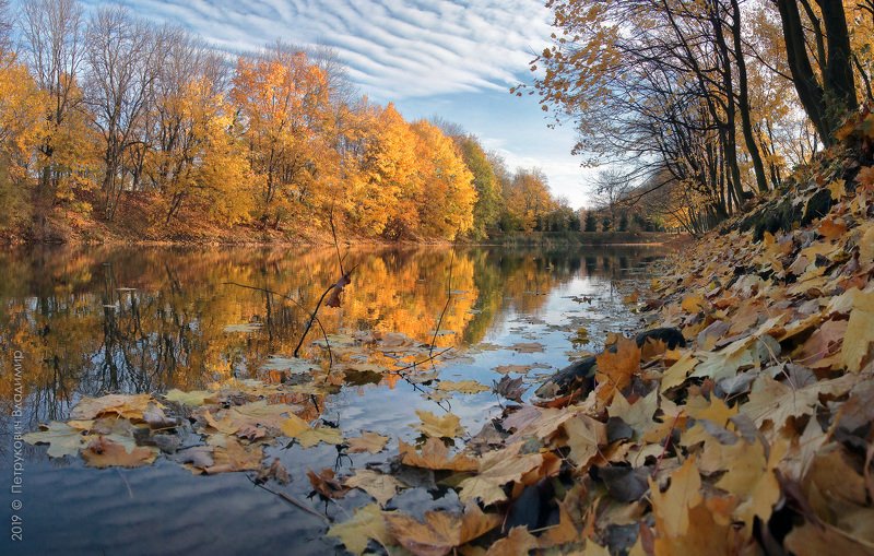 Осень в Южном парке. фото превью