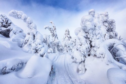 Куда ушел снег