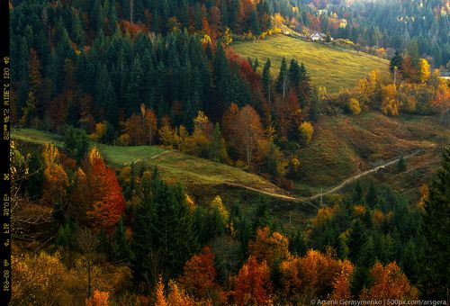 Autumn foliage trees in the mountains. Meadow with haystack and forest in the Carpathian mountains Fuji Velvia film