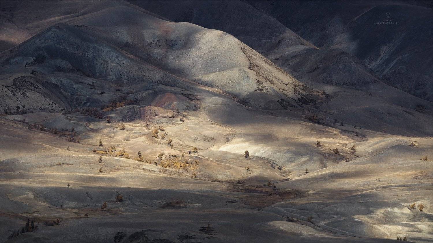 , Дмитрий Купрацевич