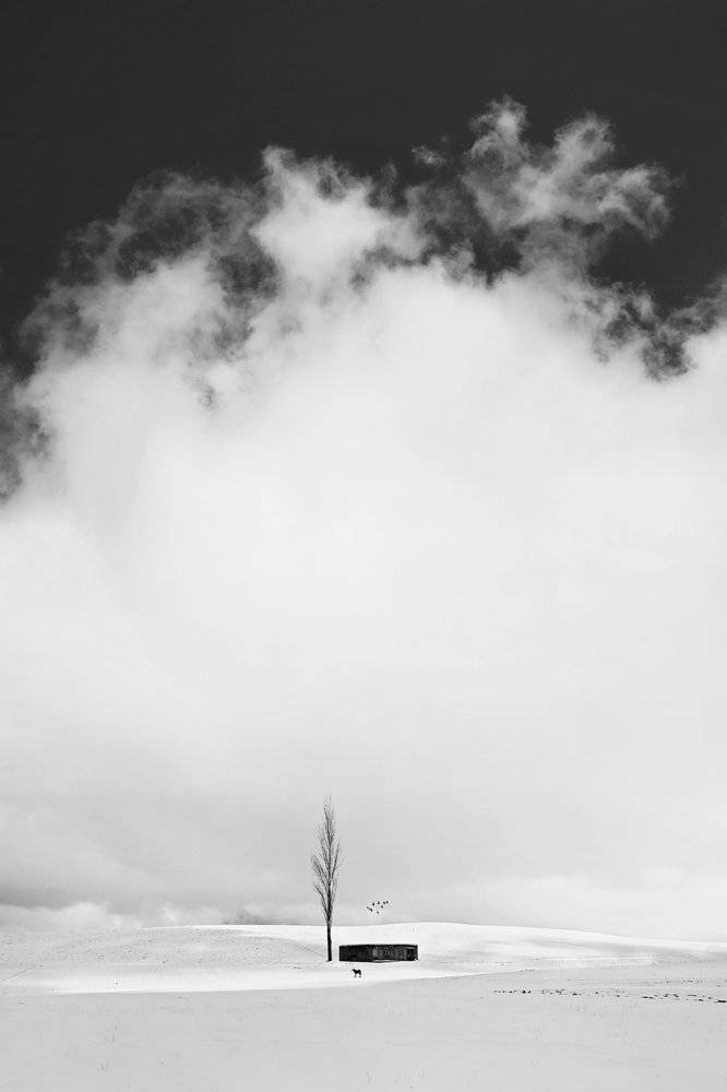 conceptual, art, fine art, minimal, Mohammad Dadsetan