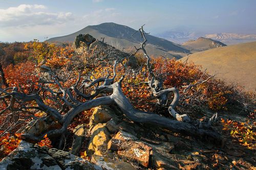 Горный пейзаж..