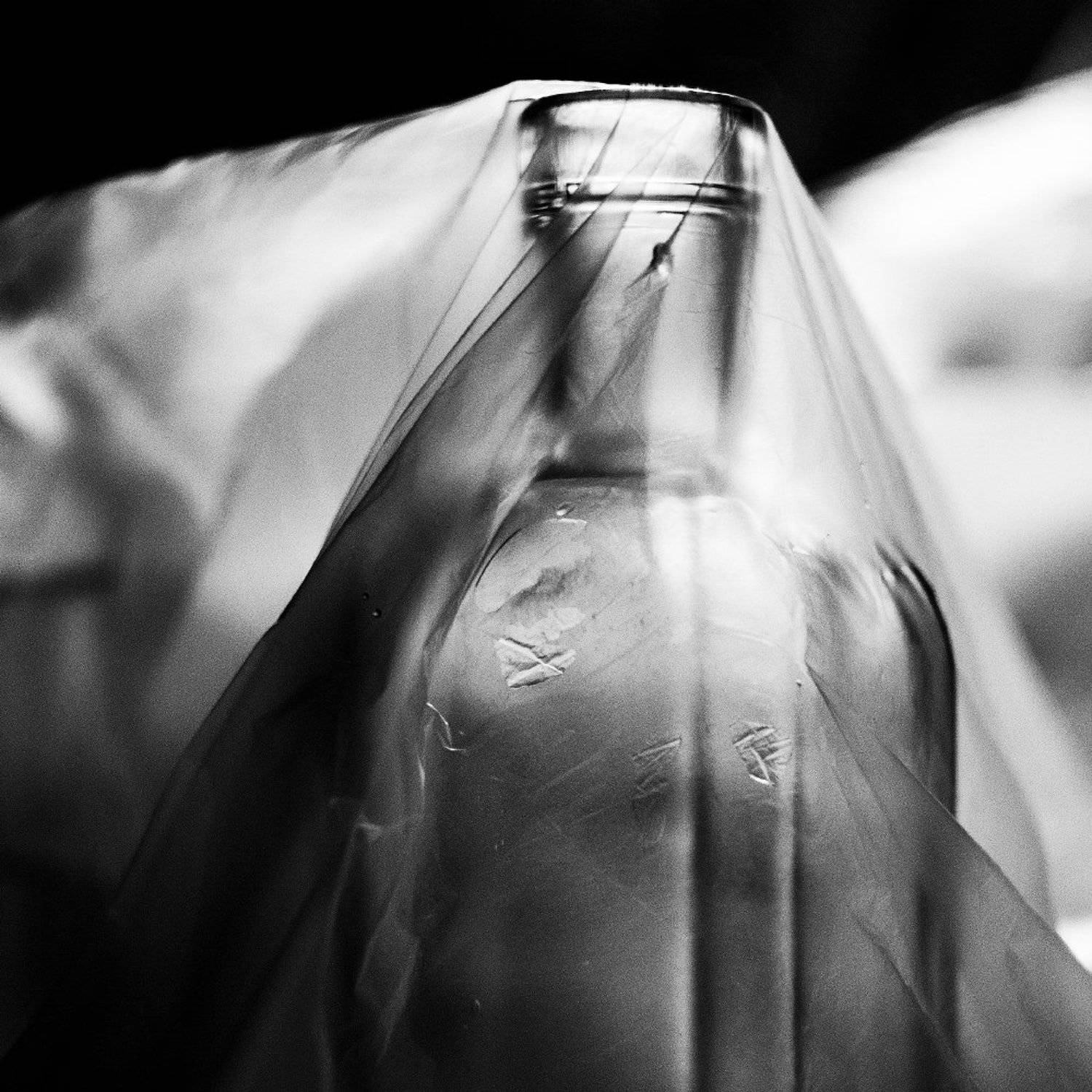 , Алёна Таланова