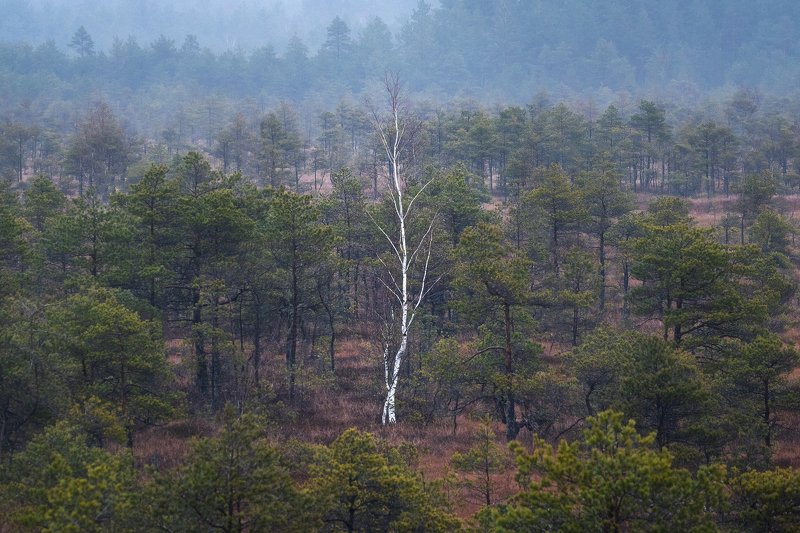 Невыносимая легкость бытия фото превью